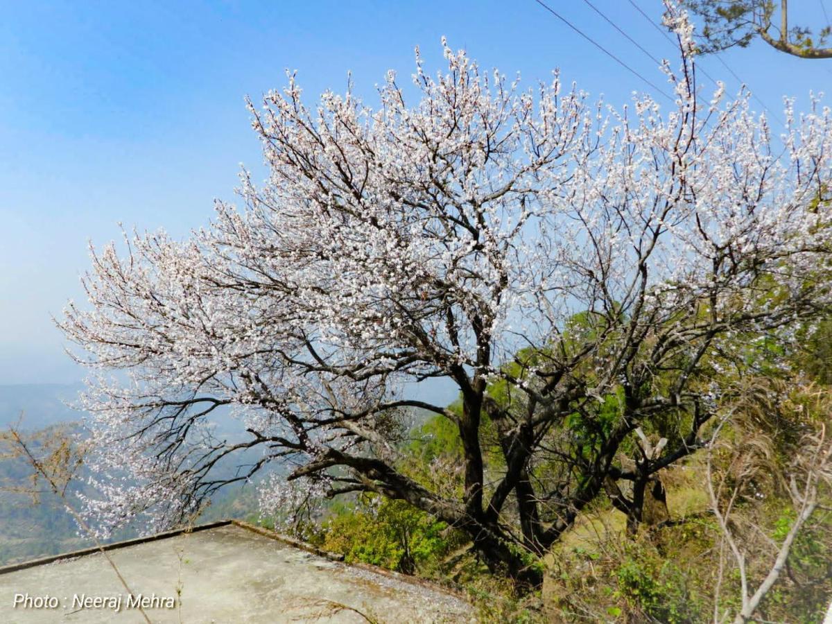 Entire 2 Bhk Nanda Devi Himalayan Homestay Ranikhet Esterno foto